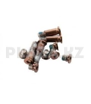 Комплект болтов для Macbook A1932 A2179 A2337 (screws) gold